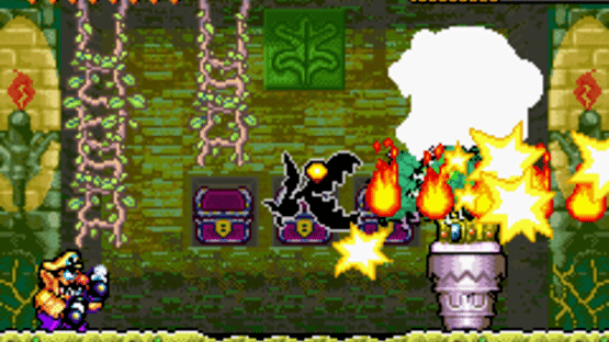 Wario Land 4 Screenshot