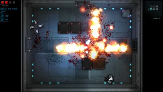 Feral Fury gameplay screenshot 1