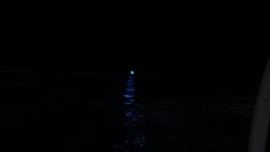 The Dark official artwork 1