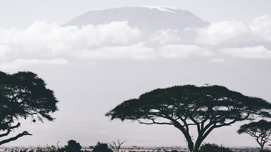 Bao official artwork 1