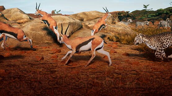 Animalia Survival backdrop
