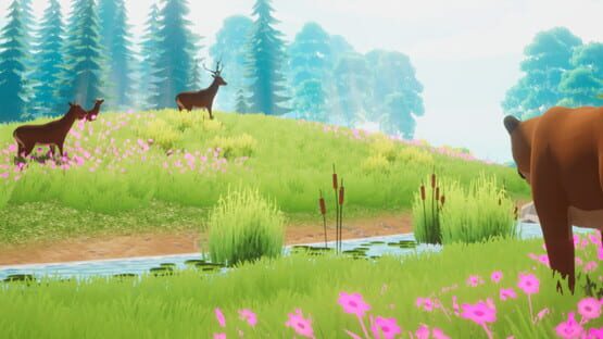 Pandora: Wild Origins gameplay screenshot