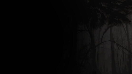 Dark Forest Project backdrop