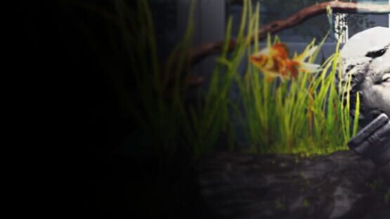 Aquarist: My First Job official artwork 1