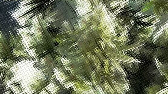 Medicinal Herbs: Cannabis Grow Simulator official artwork 1