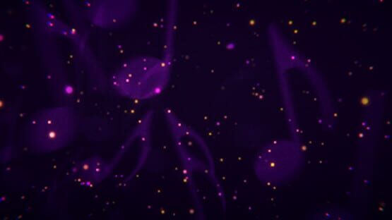 Tempo backdrop