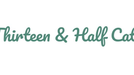 Thirteen & Half Cats gameplay screenshot