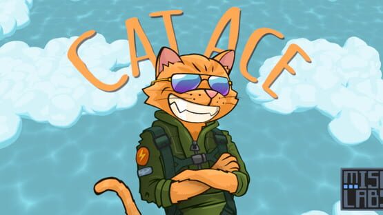 Cat Ace gameplay screenshot