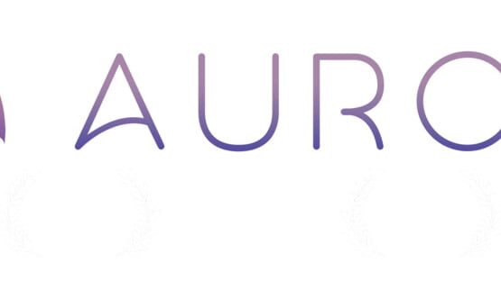 Aurore screenshot 3