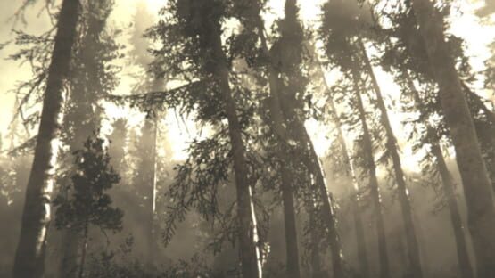 Rot: Purgatory Hill official artwork 1