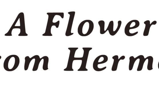 A Flower from Hermes gameplay screenshot
