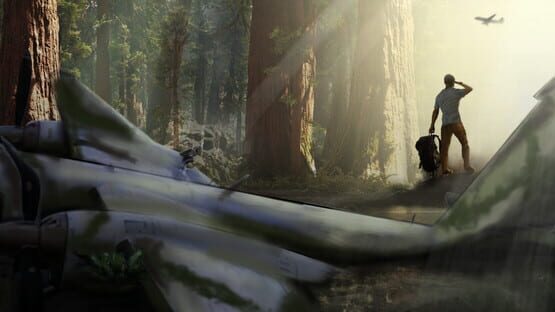 Missing Plane: Survival official artwork 1