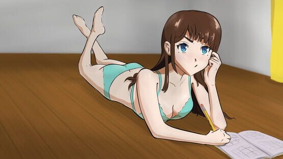 Operation Sexy Sudoku official artwork 1