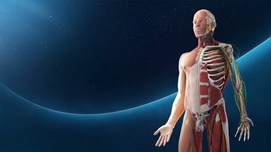 Human Anatomy VR official artwork 1