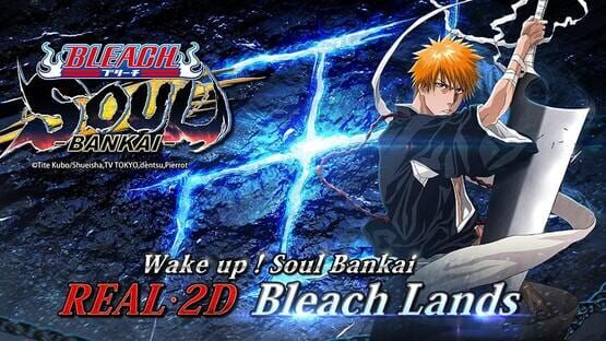 Bleach: Soul Bankai official artwork 1