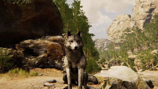 Animal Simulator official artwork 1