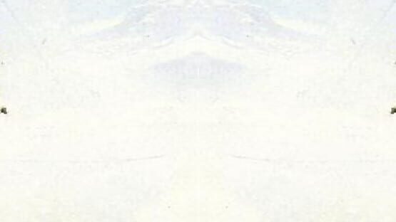 Our Brotherly War official artwork 1