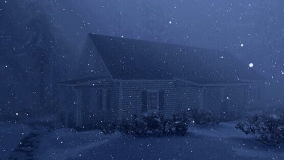 Snowstorm of despair official artwork 1