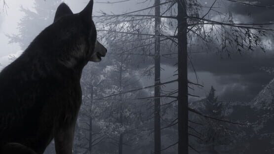 The Wilds official artwork 1