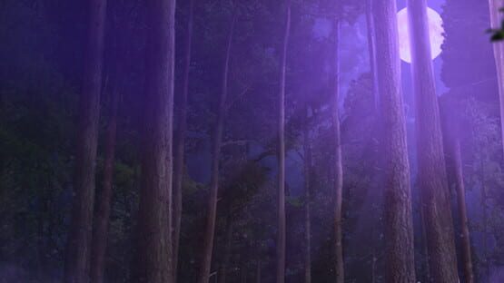 Edge of Reality: Lost Secrets of the Forest Collector's Edition official artwork 1