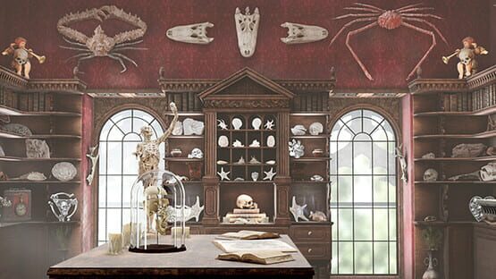 Cabinet of Curiosities VR official artwork 1