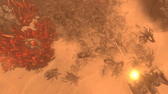 Insect Swarm official artwork 1