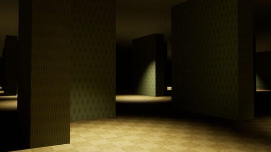 Backrooms: Perpetual gameplay screenshot