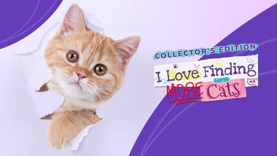 I Love Finding More Cats!: Collector's Edition gameplay screenshot