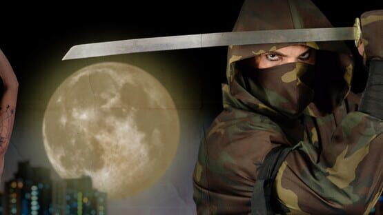 Ninja Specialist official artwork 1