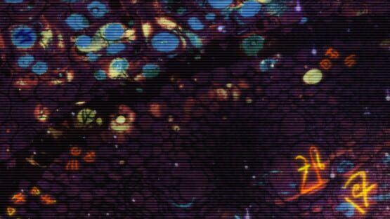 Deadnaut: Signal Lost official artwork 1