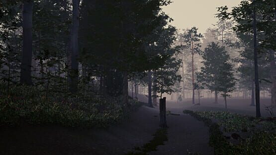 There is Still Hope official artwork 1