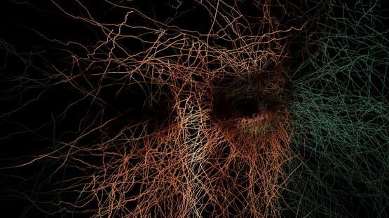 Immortelle official artwork 1