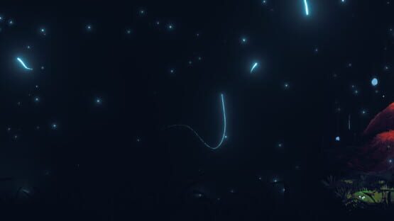 Doko Roko backdrop