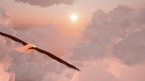 Toroa: Skycall gameplay screenshot
