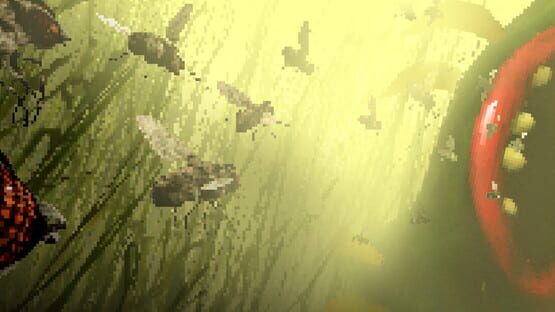 The Hungry Fly gameplay screenshot