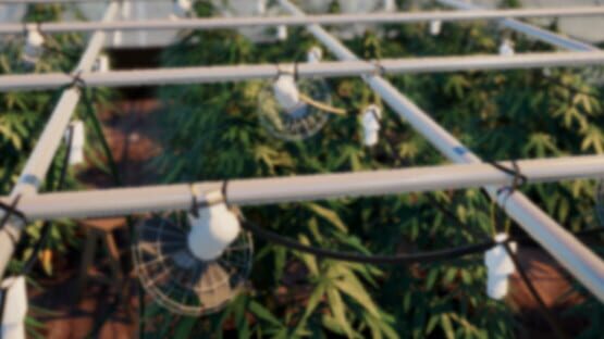 Drug Grower Simulator official artwork 1