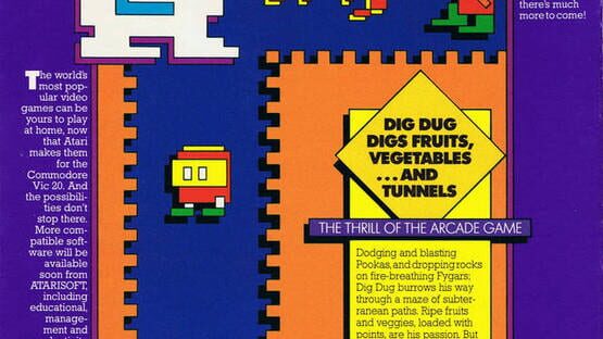 Dig Dug gameplay screenshot