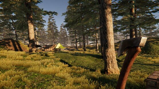 Valora Survival backdrop