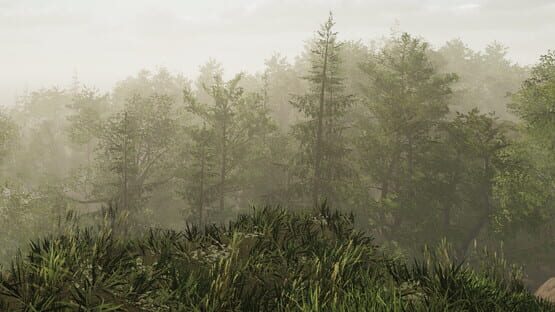 Wild Isles official artwork 1