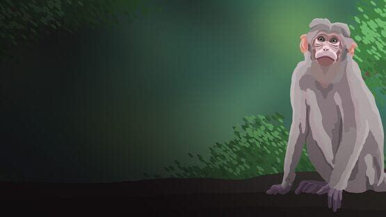 The Monkey P gameplay screenshot