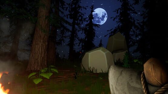 The Woods backdrop