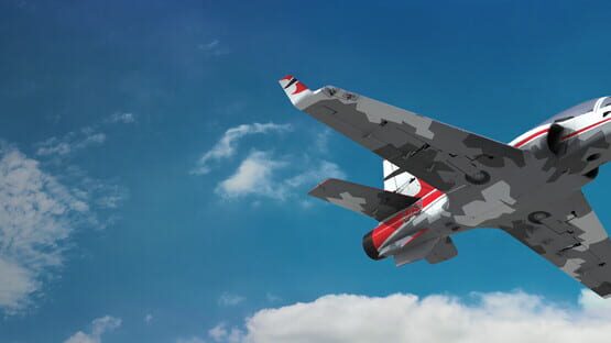 RealFlight Evolution backdrop