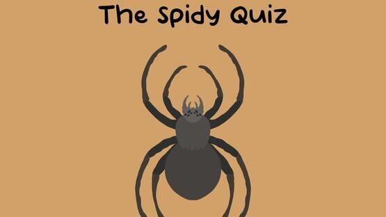 The Spidy Quiz gameplay screenshot
