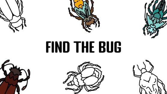 Find the Bug gameplay screenshot