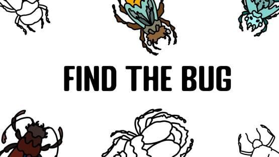 Find the Bug gameplay screenshot