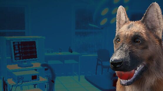 VetVR: Veterinary Simulator backdrop