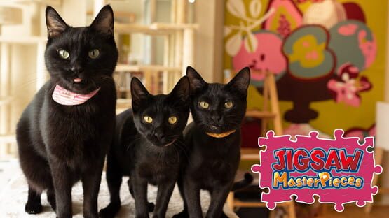 Jigsaw Masterpieces: Black Cats in a Cat Welfare Cafe / Kenta Igarashi gameplay screenshot