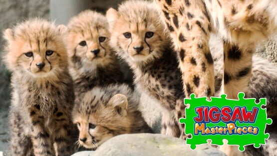Jigsaw Masterpieces: Baby Animals gameplay screenshot