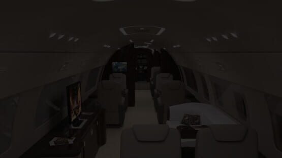 Sex Simulator - The Private Jet screenshot 1
