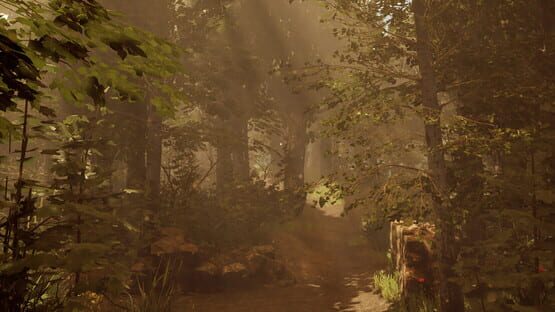 Number 217721 gameplay screenshot